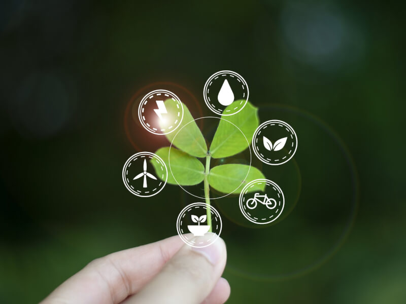 Why equitable global systems hold the key to Europe’s vision for a green and just Europe