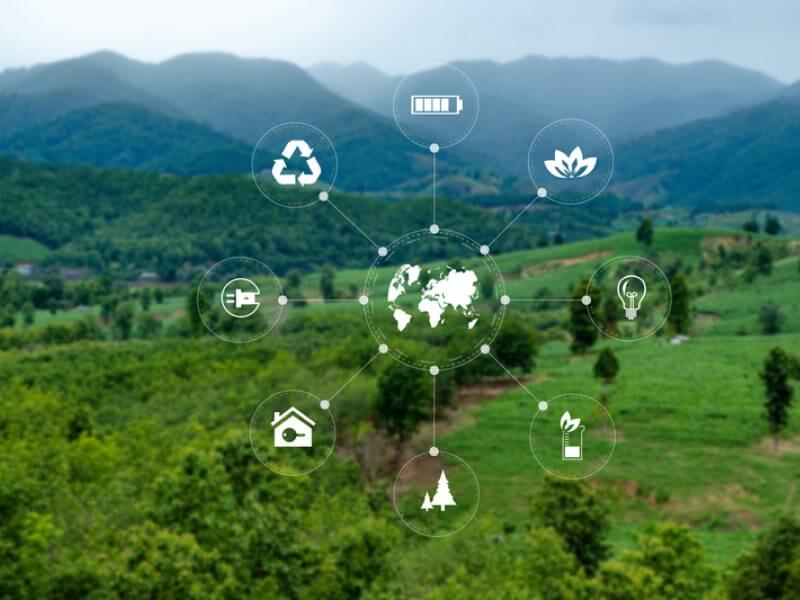 From The Limits to Growth to Regeneration 2030