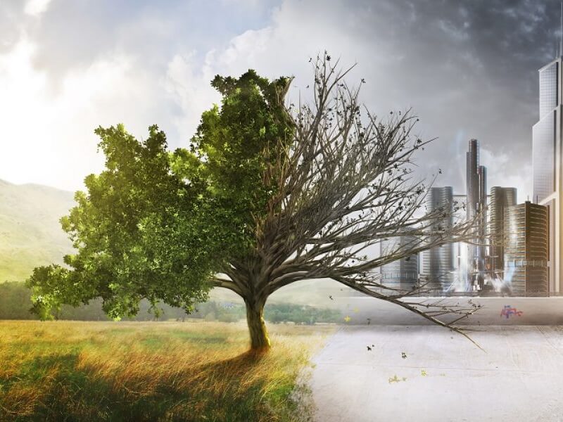 Finance Watch & The Club of Rome Conference