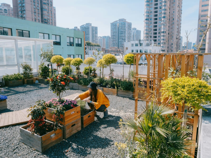 Rethinking cities: A systems approach to sustainable urban futures