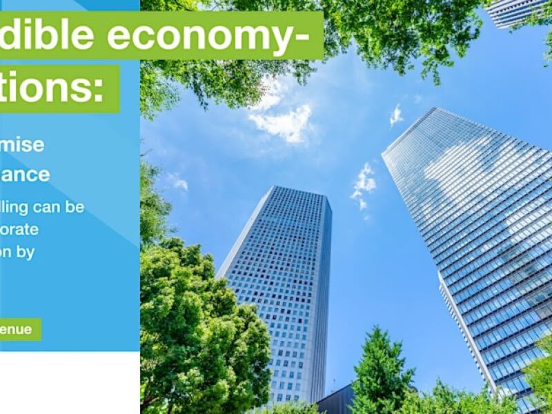 Making credible economy-wide transitions: A systems lens to optimise resilience and performance