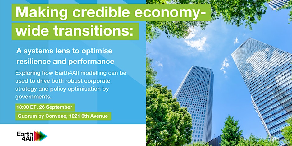 Making credible economy-wide transitions: A systems lens to optimise resilience and performance