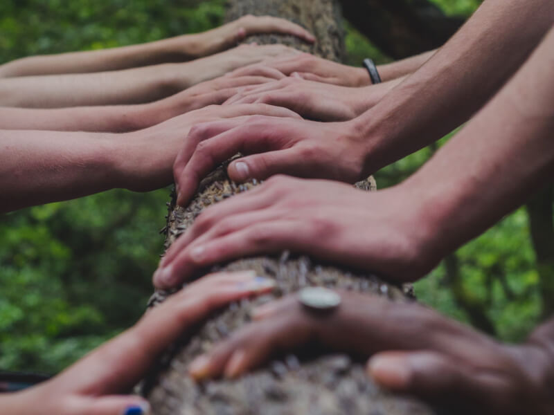 Unveiling our blind spots: Q&A with Carlos Alvarez Pereira