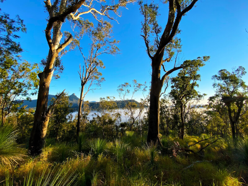 Visionary strategy aims to transform Australia into a global carbon sink through sustainable regional and remote communities
