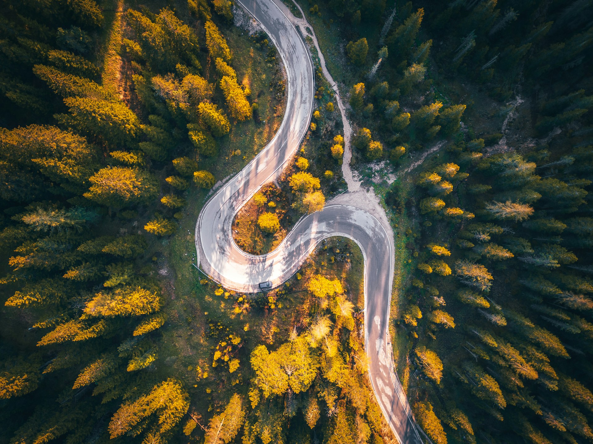 Regenerate the future: How to enact change in a messy world