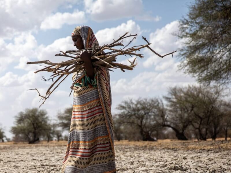 Symposium 2023-climate change and migration