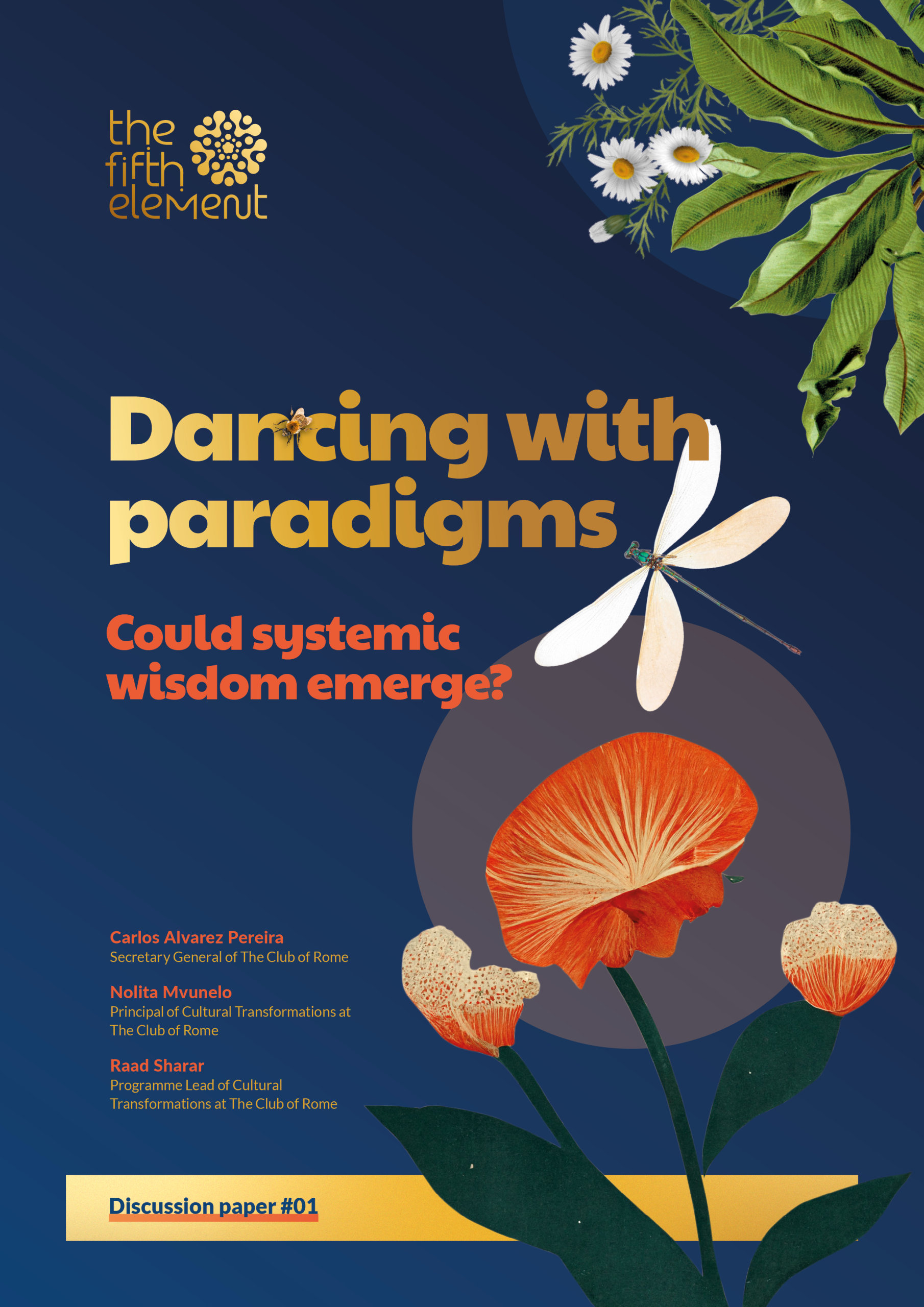 Dancing with paradigms, could systemic wisdom emerge?