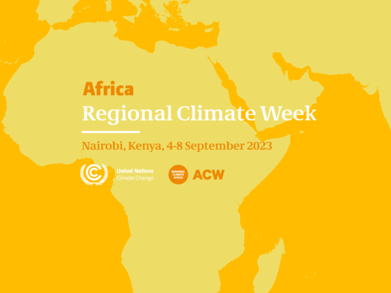 Emergence from Emergency: Economic System change towards an Earth4All