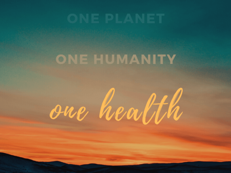 Emerging from the Emergency: Key Policy Recommendations to G20 Leaders