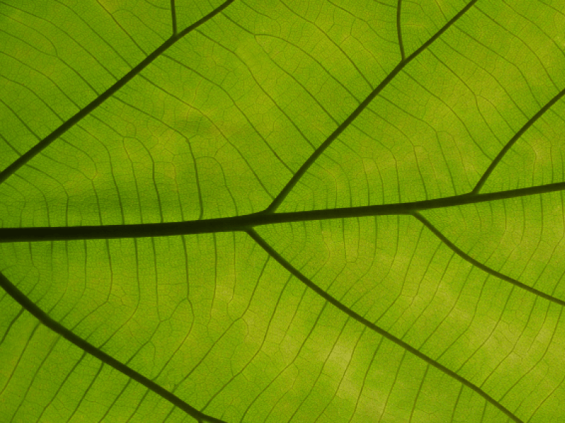 We are at a fork in the road. Will we choose solidarity over fear?