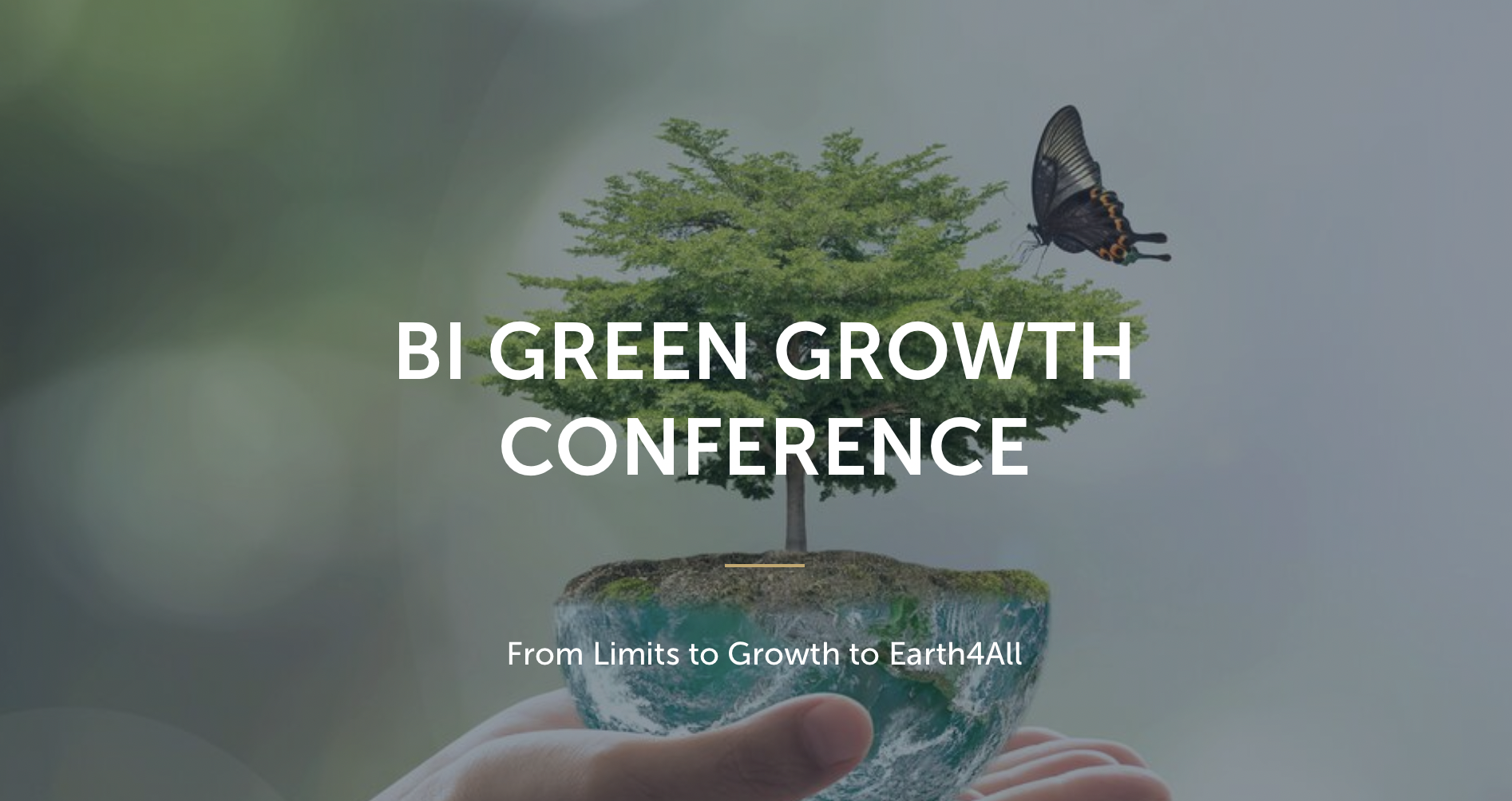 Donatella Meadows and MIT