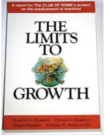 Donatella Meadows and MIT