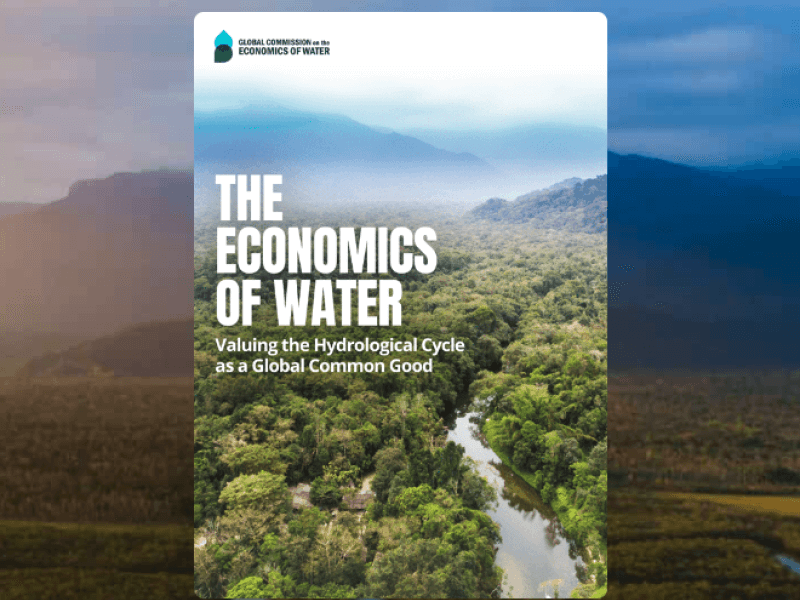 The economics of water: Valuing the hydrological cycle as a global common good