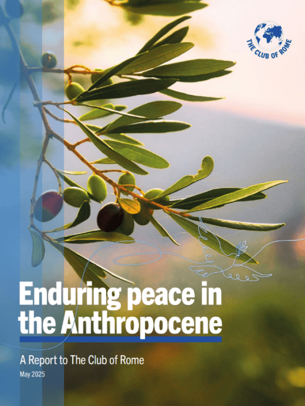 Enduring peace in the Anthropocene<span> – 2025</span>