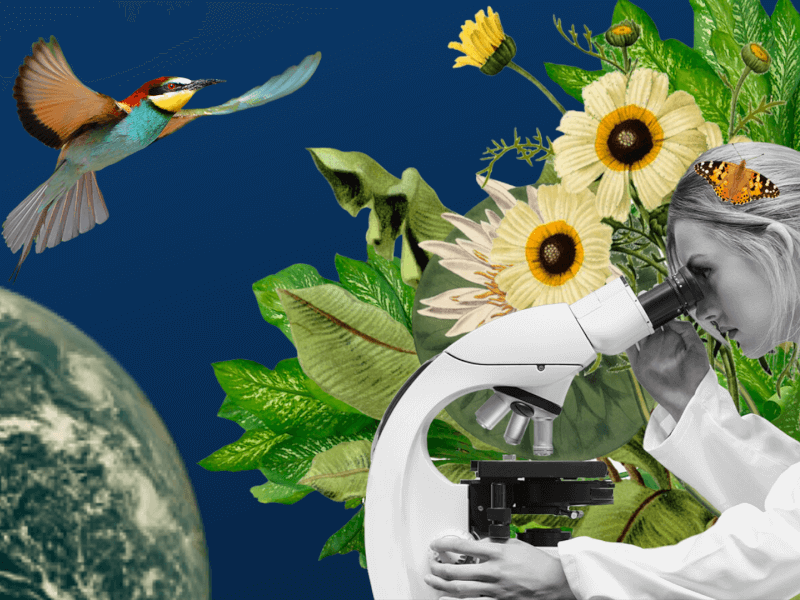 Harnessing science to tackle global crises